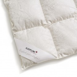 Eiderdaunen Duvet medium