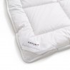 copy of AIRFRESH Duft-Duvet