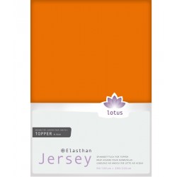 copy of Lotus Jersey Fix Souplesse mais 26